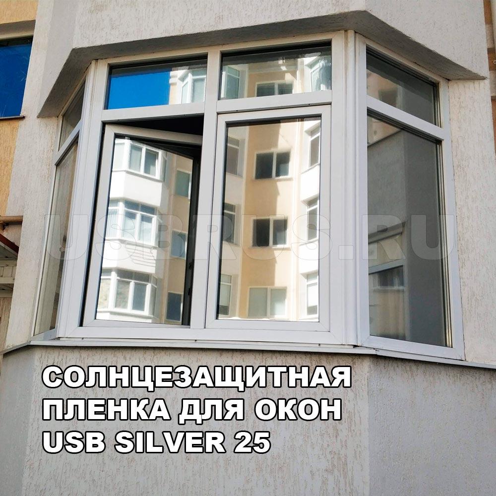 Silver 251